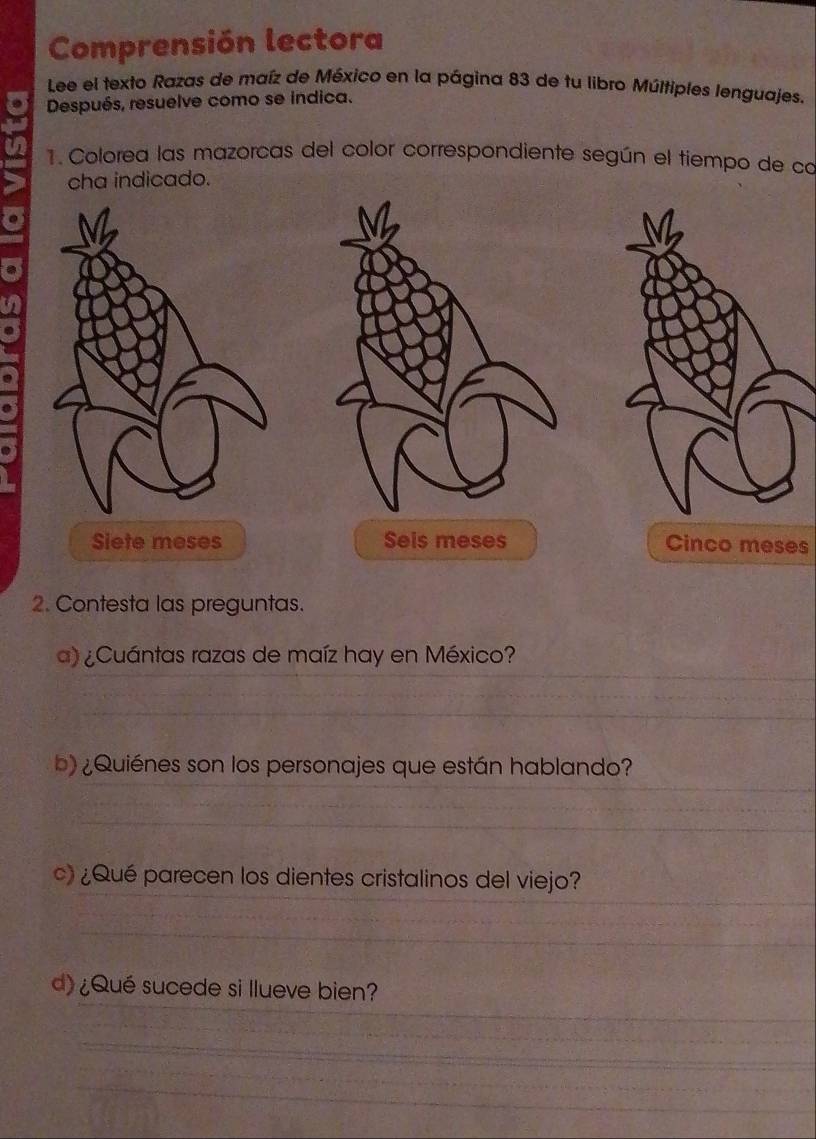 Comprensión lectora
Lee el texto Razas de maíz de México en la página 83 de tu libro Múltiples lenguajes.
Después, resuelve como se indica.
1. Colorea las mazorcas del color correspondiente según el tiempo de co
cha indicado.
Siete meses Seis meses Cinco meses
2. Contesta las preguntas.
_
a) ¿Cuántas razas de maíz hay en México?
_
_
_
b) ¿Quiénes son los personajes que están hablando?
_
_
_
_
) ¿Qué parecen los dientes cristalinos del viejo?
_
__
_
d) ¿Qué sucede si llueve bien?
_
_
_
_
_
_