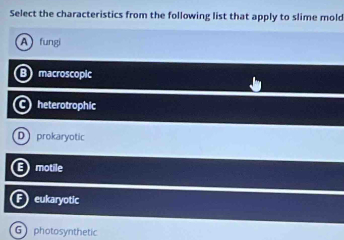 Select the characteristics from the following list that apply to slime mold
Afungi
B macroscopic
heterotrophic
D prokaryotic
E) motile
F eukaryotic
G photosynthetic