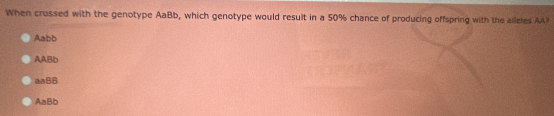 When crossed with the genotype AaBb, which genotype would result in a 50% chance of producing offspring with the alleles AA?
Aabb
AABb
aaB6
AaBb