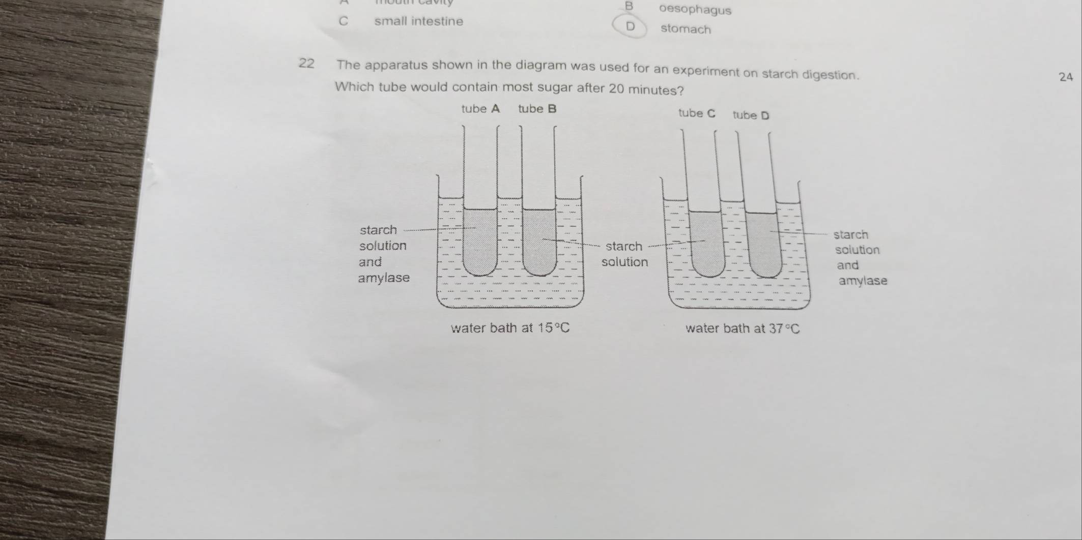 B oesophagus
C small intestine stomach
D
22 The apparatus shown in the diagram was used for an experiment on starch digestion.
24
Which tube would contain most sugar after 20 minutes?