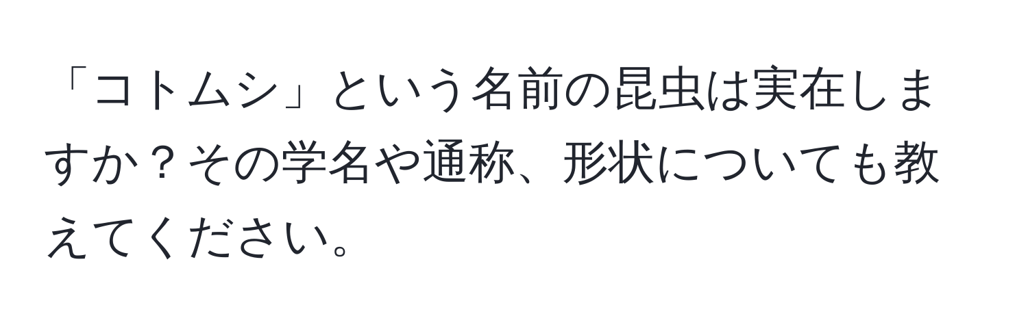 「コトムシ」という名前の昆虫は実在しますか？その学名や通称、形状についても教えてください。