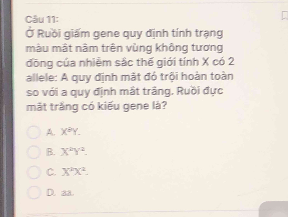 Ở Ruồi giấm gene quy định tính trạng
màu mắt năm trên vùng không tương
đồng của nhiễm sắc thế giới tính X có 2
allele: A quy định mắt đỏ trội hoàn toàn
so với a quy định mắt trắng. Ruồi đực
mắt trắng có kiểu gene là?
A X^aY.
B. X^aY^a.
C. X^aX^a.
D. aa.