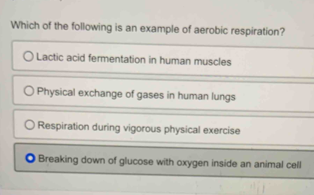 Which of the following is an example of aerobic respiration?
Lactic acid fermentation in human muscles
Physical exchange of gases in human lungs
Respiration during vigorous physical exercise
Breaking down of glucose with oxygen inside an animal cell