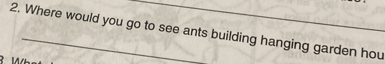 Where would you go to see ants building hanging garden hou 
R Whs