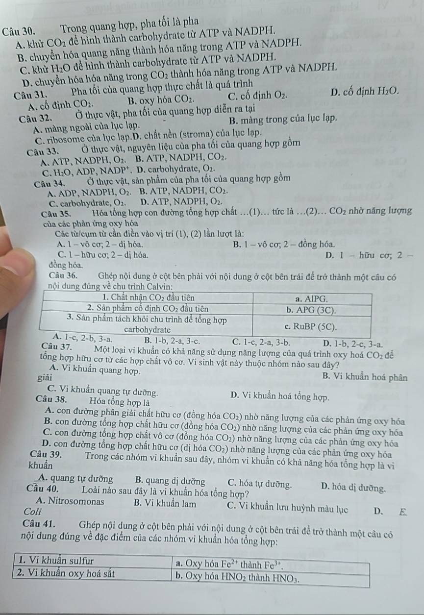 Trong quang hợp, pha tối là pha
A. khử CO_2 để hình thành carbohydrate từ ATP và NADPH.
B. chuyển hóa quang năng thành hóa năng trong ATP và NADPH.
C. khừ H_2O để hình thành carbohydrate từ ATP và NADPH.
D. chuyển hóa hóa năng trong CO_2 thành hóa năng trong ATP và NADPH.
Câu 31. Pha tối của quang hợp thực chất là quá trình
A. cố định CO_2. B. oxy hóa CO_2. C. cố định O_2. D. cố định H_2O.
Câu 32.  Ở thực vật, pha tối của quang hợp diễn ra tại
A. màng ngoài của lục lạp. B. màng trong của lục lạp.
C. ribosome của lục lạp.D. chất nền (stroma) của lục lạp.
Câu 33. Ở thực vật, nguyên liệu của pha tối của quang hợp gồm
A. ATP,N ADPH,O_2. B. ATP, NADPH, CO_2.
C. H₂O、 ADP,NADP^+. D. carbohydrate O_2.
Câu 34. Ở thực vật, sản phầm của pha tối của quang hợp gồm
A. ADP NADPH,O_2. B. ATP,NADPH,CO_2.
C. carbohydrate. O_2. D ATP,NADPH,O_2.
Câu 35. Hóa tổng hợp con đường tổng hợp chất ...(1)... tức ldot a...(2)...CO_2 nhờ năng lượng
của các phản ứng oxy hóa
Các từ/cụm từ cần điền vào vị trí (1), (2) lần lượt là:
A. 1-vô cơ; 2-dj hóa. đồng hóa.
B. 1-vhat 0cos 2-
C. 1 - hữu cơ; 2 - dị hóa. D. 1 - hữu cơ; 2 -
đồng hóa.
Câu 36. Ghép nội dung ở cột bên phải với nội dung ở cột bên trái để trở thành một câu có
nội
1-b, 2-a, 3-c. C. 1-c, 2-a, 3-b. D. 1-b, 2-c, 3-a.
Câu 37. Một loại vi khuẩn có khả năng sử dụng năng lượng của quá trình oxy hoá CO_2 để
tổng hợp hữu cơ từ các hợp chất vô cơ. Vi sinh vật này thuộc nhóm nào sau dây?
A. Vi khuẩn quang hợp.
giải B. Vi khuẩn hoá phân
C. Vi khuẩn quang tự dưỡng. D. Vi khuẩn hoá tổng hợp.
Câu 38. Hóa tổng hợp là
A. con đường phân giải chất hữu cơ (đồng hóa CO_2) 0 nhờ năng lượng của các phản ứng oxy hóa
B. con đường tổng hợp chất hữu cơ (đồng hóa CO₂) nhờ năng lượng của các phản ứng oxy hóa
C. con đường tổng hợp chất vô cơ (đồng hóa CO_2) nhờ năng lượng của các phản ứng oxy hóa
D. con đường tổng hợp chất hữu cơ (dị hóa ở CO_2 0 nhờ năng lượng của các phản ứng oxy hóa
Câu 39. Trong các nhóm vi khuẩn sau đây, nhóm vi khuẩn có khả năng hóa tổng hợp là vi
khuẩn
A. quang tự dưỡng B. quang dị dưỡng C. hóa tự dưỡng. D. hóa dị dưỡng.
Cầu 40. Loài nào sau đây là vi khuẩn hóa tổng hợp?
A. Nitrosomonas B. Vi khuẩn lam C. Vi khuẩn lưu huỳnh màu lục
Coli D. E.
Câu 41. Ghép nội dung ở cột bên phải với nội dung ở cột bên trái đề trở thành một câu có
nội dung đúng về đặc điểm của các nhóm vi khuẩn hóa tổng hợp: