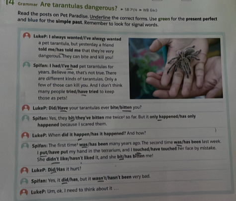 Grammar Are tarantulas dangerous? ≈ SB 71/4 ∞ WB Gac) 
Read the posts on Pet Paradise. Underline the correct forms. Use green for the present perfect 
and blue for the simple past. Remember to look for signal words. 
LukeP: I always wanted/I've always wanted 
a pet tarantula, but yesterday a friend 
told me/has told me that they're very 
dangerous. They can bite and kill you! 
Spifan: I had/I've had pet tarantulas for 
years. Believe me, that's not true. There 
are different kinds of tarantulas. Only a 
few of those can kill you. And I don't think 
many people tried/have tried to keep 
those as pets! 
LukeP: Did/Have your tarantulas ever bite/bitten you? 
Spifan: Yes, they bit/they've bitten me twice? so far. But it only happened/has only 
happened because I scared them. 
LukeP: When did it happen/has it happened? And how? 
Spifan: The first time³ was/has been many years ago. The second time was/has been last week. 
I put/have put my hand in the terrarium, and I touched/have touched her face by mistake. 
She didn't like/hasn't liked it, and she bit/has bitten me! 
LukeP: Did/Has it hurt? 
Spifan: Yes, it did/has, but it wasn't/hasn't been very bad. 
LukeP: Um, ok. I need to think about it . . .