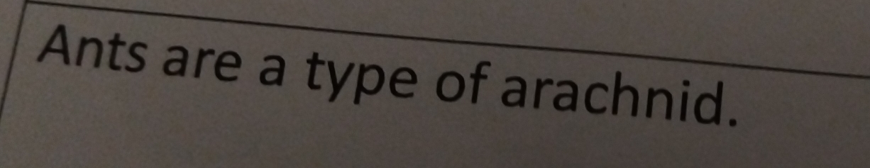 Ants are a type of arachnid.