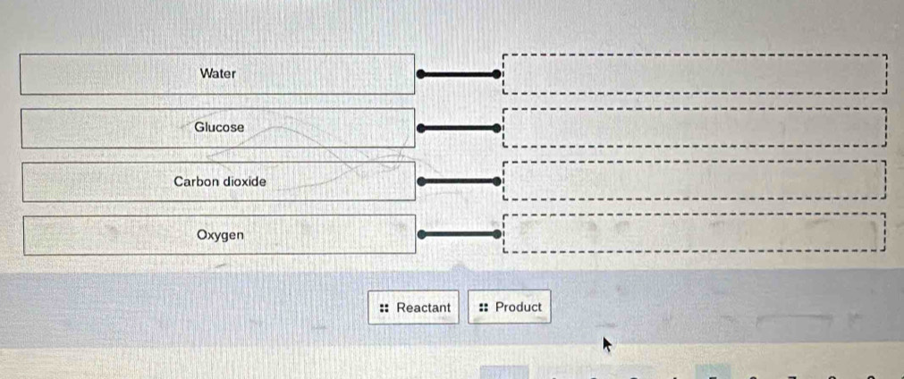 Water
Glucose
Carbon dioxide
Oxygen
Reactant =: Product