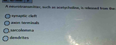 A neurotransmitter, such as acetycholine, is released from the:
synaptic cleft
axon terminals
sarcolemma
dendrites