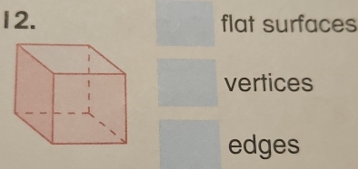 flat surfaces 
vertices 
edges