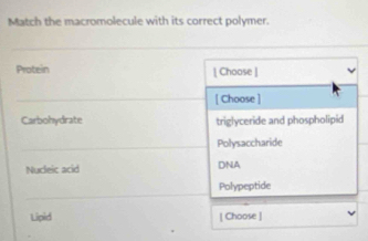 Match the macromolecule with its correct polymer.
Protein | Choose |
[ Choose ]
Carbohydrate triglyceride and phospholipid
Polysaccharide
Nucleic acid DNA
Polypeptide
Lipid [ Choose ]