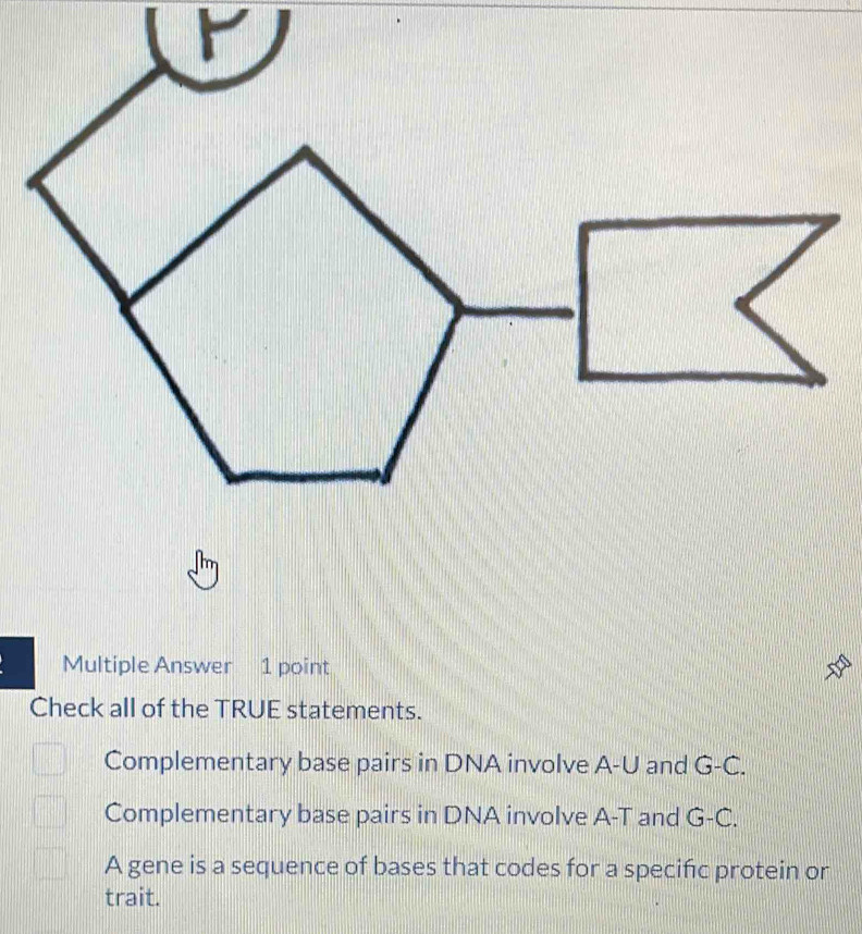 Multiple Answer 1 point
Check all of the TRUE statements.
Complementary base pairs in DNA involve A -U and G-C.
Complementary base pairs in DNA involve A-T and G-C.
A gene is a sequence of bases that codes for a specific protein or
trait.