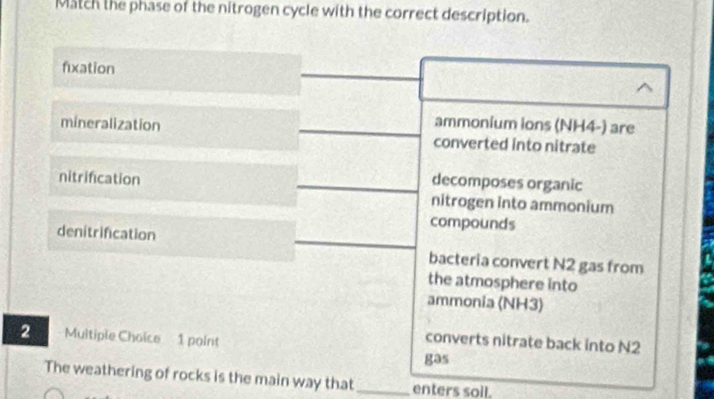 Solved: Match the phase of the nitrogen cycle with the correct ...