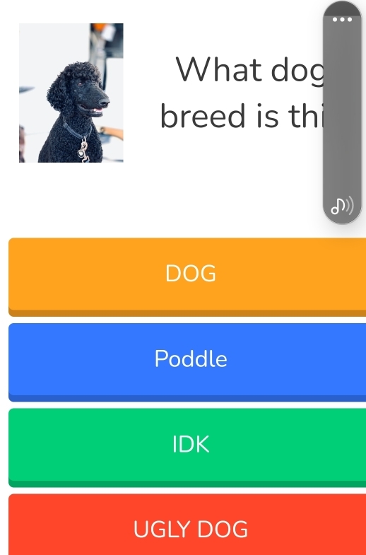 What dog
breed is th
DOG
Poddle
IDK
UGLY DOG