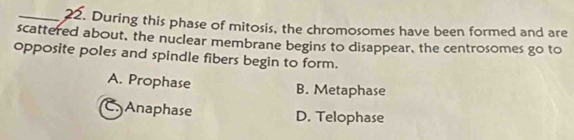 During this phase of mitosis, the chromosomes have been formed and are
scattered about, the nuclear membrane begins to disappear, the centrosomes go to
opposite poles and spindle fibers begin to form.
A. Prophase B. Metaphase
C Anaphase D. Telophase