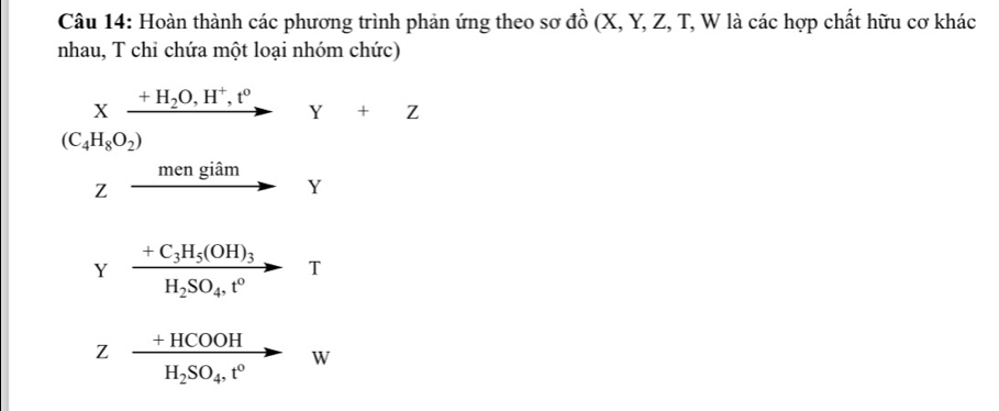 Hoàn thành các phương trình phản ứng theo sơ đồ (X, Y, Z, T, W là các hợp chất hữu cơ khác
nhau, T chỉ chứa một loại nhóm chức)
Xxrightarrow +H_2O,H^+,t^0Y+Z
(C_4H_8O_2)
Z xrightarrow mengiamY
Y frac +C_3H_5(OH)_3H_2SO_4,t^0T
Z frac +HCOOHH_2SO_4,t^0to w