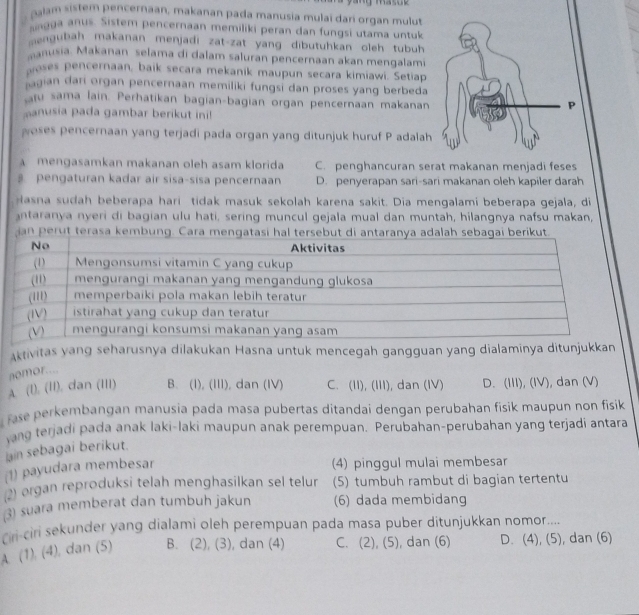 Balam sistem pencernaan, makanan pada manusia mulai dari organ mulut
sngga anus. Sistem pencernaan memiliki peran dan fungsi utama untuk
mengubah makanan menjadi zat-zat yang dibutuhkan oleh tubuh
anusia. Makanan selama di dalam saluran pencernaan akan mengalami
oses pencernaan, baik secara mekanik maupun secara kimiawi. Setiap
agian dari organ pencernaan memiliki fungsi dan proses yang berbeda
atu sama lain. Perhatikan bagian-bagian organ pencernaan makanan
anusia pada gambar berikut ini!
woses pencernaan yang terjadi pada organ yang ditunjuk huruf P adalah
mengasamkan makanan oleh asam klorida C. penghancuran serat makanan menjadi feses
pengaturan kadar air sisa-sisa pencernaan D. penyerapan sari-sari makanan oleh kapiler darah
Hasna sudah beberapa hari tidak masuk sekolah karena sakit. Dia mengalami beberapa gejala, di
antaranya nyeri di bagian ulu hati, sering muncul gejala mual dan muntah, hilangnya nafsu makan,
an perut terasa kembung. Cara mengatasi hal tersebah sebagai berikut
Aktivitas yang seharusnya dilakukan Hasna untuk mencegah gangguan yang dialaminya ditunjukkan
nomor....
A. (l), (II), dan (III) B. (I), (III), dan (IV) C. (II), (III), dan (IV) D. (III), (IV), dan (V)
ase perkembangan manusia pada masa pubertas ditandai dengan perubahan fisik maupun non fisik 
yang terjadi pada anak laki-laki maupun anak perempuan. Perubahan-perubahan yang terjadi antara
iain sebagai berikut.
(1) payudara membesar
(4) pinggul mulai membesar
2) organ reproduksi telah menghasilkan sel telur (5) tumbuh rambut di bagian tertentu
3 suara memberat dan tumbuh jakun (6) dada membidang
riri-ciri sekunder yang dialami oleh perempuan pada masa puber ditunjukkan nomor....
A. (1), (4), dan (5) B. (2), (3), dan (4) C. (2), (5), dan (6) D. (4), (5), dan (6)