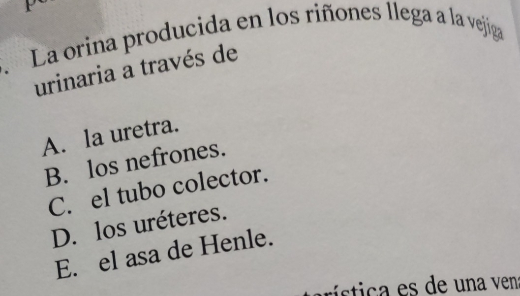 La orina producida en los riñones llega a la vejiga
urinaria a través de
A. la uretra.
B. los nefrones.
C. el tubo colector.
D. los uréteres.
E. el asa de Henle.
rtca es de una ven