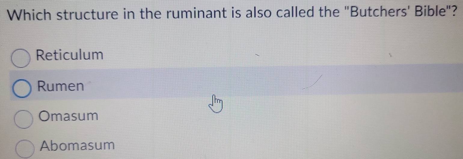 Which structure in the ruminant is also called the "Butchers' Bible"?
Reticulum
Rumen
Omasum
Abomasum