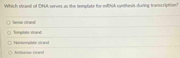 Which strand of DNA serves as the template for mRNA synthesis during transcription?
Sense strand
Template strand
Nontemplate strand
Antisense strand