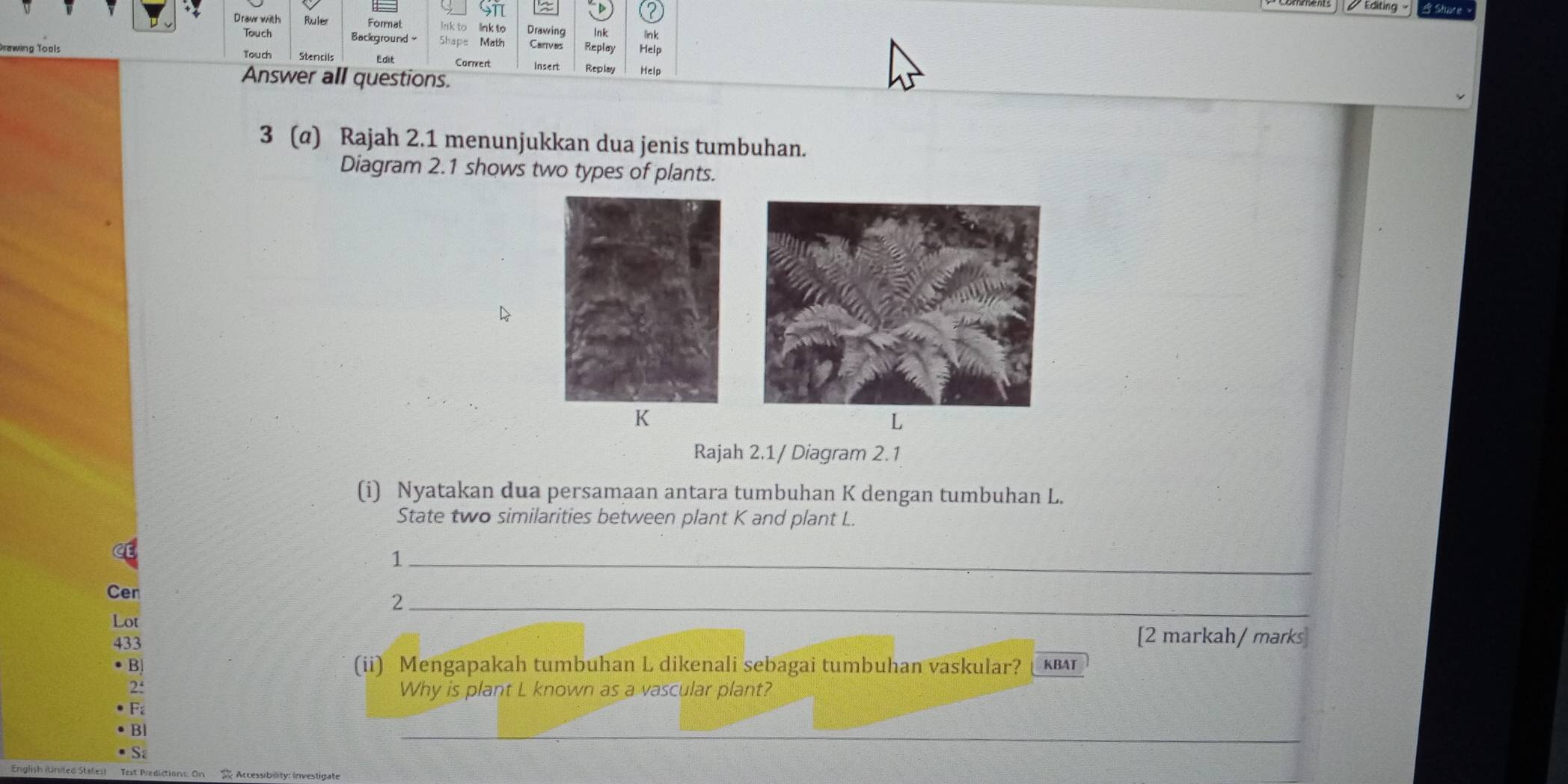 Drav with Ruler Format link to Drawing Replay lnk lin k 
Touch Background Shape Math Carrves Help 
Tou ch Stencils Corert Insert Replay Help 
Answer all questions. 
3 (@) Rajah 2.1 menunjukkan dua jenis tumbuhan. 
Diagram 2.1 shows two types of plants.
K
L
Rajah 2.1/ Diagram 2.1 
(i) Nyatakan dua persamaan antara tumbuhan K dengan tumbuhan L. 
State two similarities between plant K and plant L. 
_1 
Cen 
_2 
Lot [2 markah/ marks] 
433 
(ii) Mengapakah tumbuhan L dikenali sebagai tumbuhan vaskular? KBAT 
2: 
Why is plant L known as a vascular plant? 
_ 
_ 
Text Predictions: On Accessiblity: Investigate