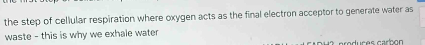 the step of cellular respiration where oxygen acts as the final electron acceptor to generate water as 
waste - this is why we exhale water