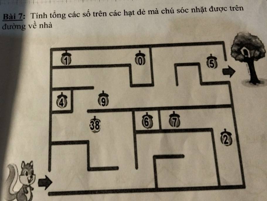 Tính tổng các số trên các hạt dẻ mà chú sóc nhặt được trên 
đường về nhà