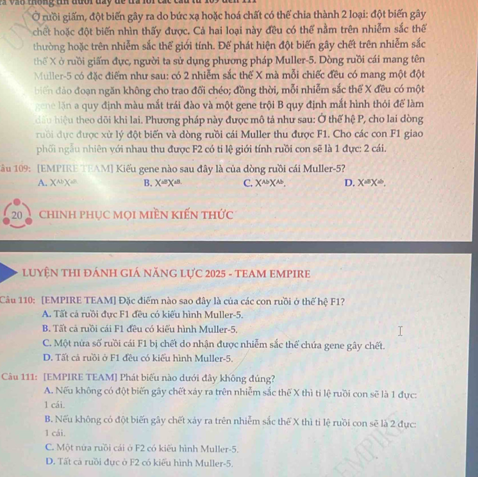 Ở ruồi giấm, đột biến gây ra do bức xạ hoặc hoá chất có thể chia thành 2 loại: đột biến gây
chết hoặc đột biến nhìn thấy được. Cả hai loại này đều có thể nằm trên nhiễm sắc thể
thường hoặc trên nhiễm sắc thể giới tính. Để phát hiện đột biến gây chết trên nhiễm sắc
thể X ở ruồi giấm đực, người ta sử dụng phương pháp Muller-5. Dòng ruồi cái mang tên
Muller-5 có đặc điểm như sau: có 2 nhiễm sắc thể X mà mỗi chiếc đều có mang một đột
biến đảo đoạn ngăn không cho trao đổi chéo; đồng thời, mỗi nhiễm sắc thể X đều có một
gene lặn a quy định màu mắt trái đào và một gene trội B quy định mắt hình thỏi để làm
dầu hiệu theo dõi khi lai. Phương pháp này được mô tả như sau: Ở thế hệ P, cho lai dòng
ruồi dực được xử lý đột biến và dòng ruồi cái Muller thu được F1. Cho các con F1 giao
phối ngẫu nhiên yới nhau thu được F2 có ti lệ giới tính rưồi con sẽ là 1 đực: 2 cái.
1ầu 109: [EMPIRE TEAM] Kiểu gene nào sau đây là của dòng rưồi cái Muller-5?
A. X^(Ab)X^(aB) B. X^(aB)X^(aB.) C. X^(Ab)X^(Ab). D. X^(aB)X^(ab),
20 chINH PHụC MọI MIềN KIếN thức
LUYỆN THI ĐÁNH GIÁ NĂNG LựC 2025 - TEAM EMPIRE
Câu 110: [EMPIRE TEAM] Đặc điểm nào sao đây là của các con ruồi ở thế hệ F1?
A. Tất cả ruồi đực F1 đều có kiểu hình Muller-5.
B. Tất cả ruồi cái F1 đều có kiểu hình Muller-5.
C. Một nửa số rưồi cái F1 bị chết do nhận được nhiễm sắc thể chứa gene gây chết.
D. Tất cả rưồi ở F1 đều có kiểu hình Muller-5.
Câu 111: [EMPIRE TEAM] Phát biểu nào dưới đây không đúng?
A. Nếu không có đột biến gây chết xáy ra trên nhiễm sắc thể X thì ti lệ rưồi con sẽ là 1 đực:
1 cái.
B. Nếu không có đột biến gây chết xảy ra trên nhiễm sắc thể X thì ti lệ ruồi con sẽ là 2 đực:
1 cái.
C. Một nửa ruồi cái ở F2 có kiểu hình Muller-5.
D. Tất cả ruồi đực ở F2 có kiểu hình Muller-5.