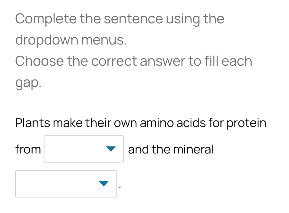 Complete the sentence using the 
dropdown menus. 
Choose the correct answer to fill each 
gap. 
Plants make their own amino acids for protein 
from □ and the mineral 
□ 
_ 