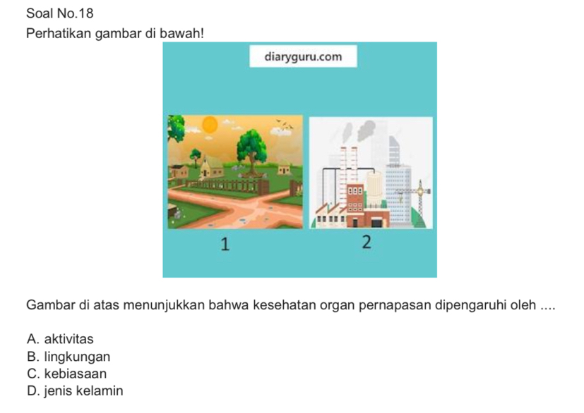 Soal No.18
Perhatikan gambar di bawah!
Gambar di atas menunjukkan bahwa kesehatan organ pernapasan dipengaruhi oleh ....
A. aktivitas
B. lingkungan
C. kebiasaan
D. jenis kelamin