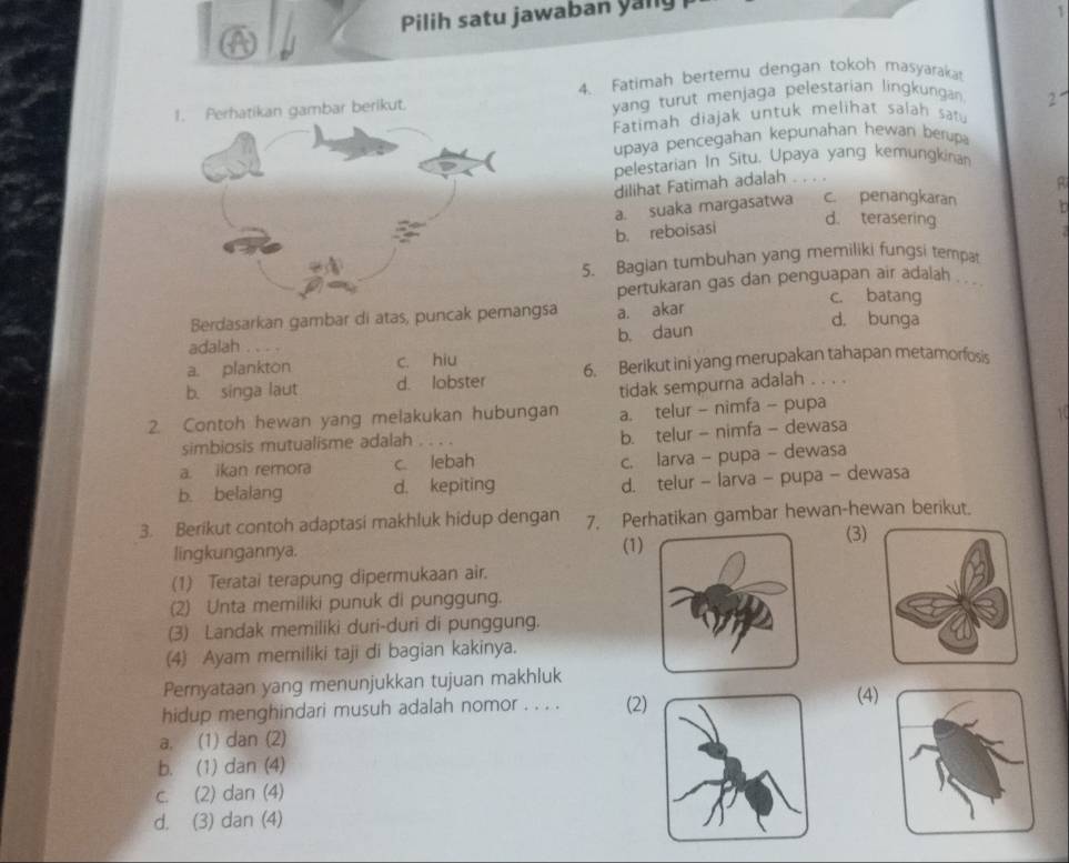 Pilih satu jawaban yany
1
4. Fatimah bertemu dengan tokoh masyarakat
1. Perhatikan gambar berikut. yang turut menjaga pelestarian lingkungan √
Fatimah diajak untuk melihat salah satu
upaya pencegahan kepunahan hewan berupa
pelestarian In Situ. Upaya yang kemungkina
dilihat Fatimah adalah .
a. suaka margasatwa c. penangkaran
b. reboisasi
d. terasering
5. Bagian tumbuhan yang memiliki fungsi tempat
pertukaran gas dan penguapan air adalah . . .
c. batang
Berdasarkan gambar di atas, puncak pemangsa a. akar d. bunga
b. daun
adalah . . . .
a. plankton c. hiu
b. singa laut d. lobster 6. Berikut ini yang merupakan tahapan metamorfosis
tidak sempurna adalah . . . .
2. Contoh hewan yang melakukan hubungan a. telur - nimfa - pupa
simbiosis mutualisme adalah
b. telur - nimfa - dewasa
a. ikan remora c. lebah
c. larva - pupa - dewasa
b. belalang d. kepiting d. telur - larva - pupa - dewasa
3. Berikut contoh adaptasi makhluk hidup dengan 7. Perhatikan gambar hewan-hewan berikut.
lingkungannya. (1)
(3)
(1) Teratai terapung dipermukaan air.
(2) Unta memiliki punuk di punggung.
(3) Landak memiliki duri-duri di punggung.
(4) Ayam memiliki taji di bagian kakinya.
Pernyataan yang menunjukkan tujuan makhluk
hidup menghindari musuh adalah nomor . . . . (2)
(4)
a, (1) dan (2)
b. (1) dan (4)
c. (2) dan (4)
d. (3) dan (4)