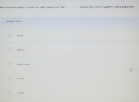 Mort eukaryotic genes contam noncoding sequences called _that are interspersed with the coding sequences
Mittple Cholce
o“
spacers
specensomes
cnou