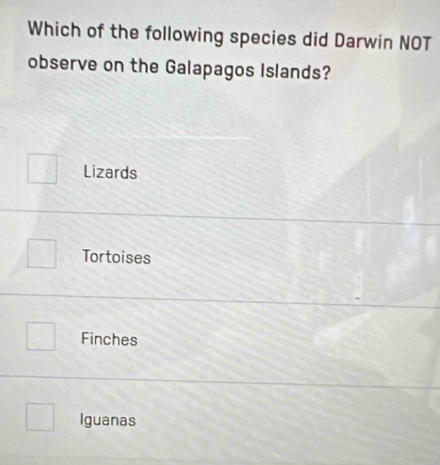 Which of the following species did Darwin NOT
observe on the Galapagos Islands?
Lizards
Tortoises
Finches
Iguanas