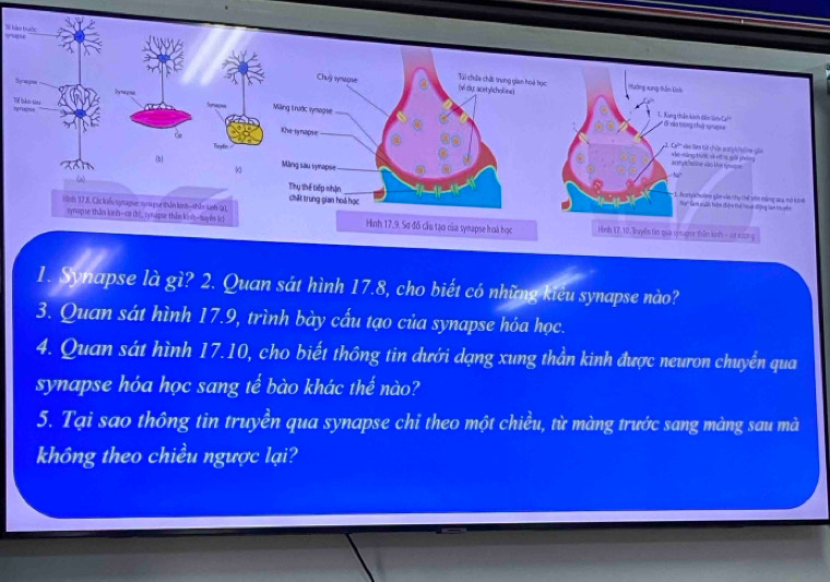 S6 lào trưộc 
T? 
1. Synapse là gì? 2. Quan sát hình 17.8, cho biết có những kiêu synapse nào? 
3. Quan sát hình 17.9, trình bày cấu tạo của synapse hóa học. 
4. Quan sát hình 17.10, cho biết thông tin dưới dạng xung thần kinh được neuron chuyển qua 
synapse hóa học sang tế bào khác thế nào? 
5. Tại sao thông tin truyền qua synapse chỉ theo một chiều, từ màng trước sang màng sau mà 
không theo chiều ngược lại?