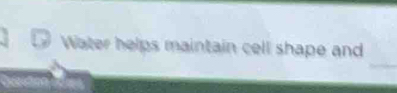 Water helps maintain cell shape and