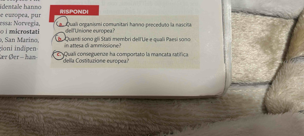 identale hanno 
e europea, pur RISPONDI 
essa: Norvegia, Ca. Quali organismi comunitari hanno preceduto la nascita 
o i microstati dell’Unione europea? 
, San Marino, b. Quanti sono gli Stati membri dell’Ue e quali Paesi sono 
gioni indipen- in attesa di ammissione? 
ær Øer - han- c. Quali conseguenze ha comportato la mancata ratifica 
della Costituzione europea?