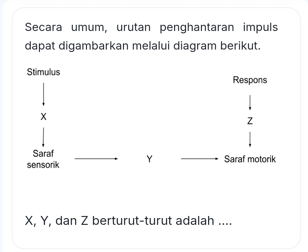 Secara umum, urutan penghantaran impuls 
dapat digambarkan melalui diagram berikut. 
Stimulus 
Respons
X
Z
Saraf
Y Saraf motorik 
sensorik
X, Y, dan Z berturut-turut adalah ....