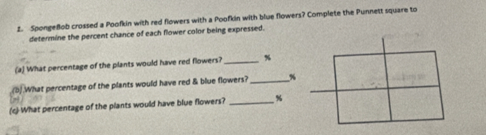 SpongeBob crossed a Poofkin with red flowers with a Poofkin with blue flowers? Complete the Punnett square to 
determine the percent chance of each flower color being expressed. 
(a) What percentage of the plants would have red flowers? _ %
(b).What percentage of the plants would have red & blue flowers?_ %
(c) What percentage of the plants would have blue flowers? _ %