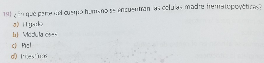 ¿En qué parte del cuerpo humano se encuentran las células madre hematopoyéticas?
a) Hígado
b) Médula ósea
c) Piel
d) Intestinos