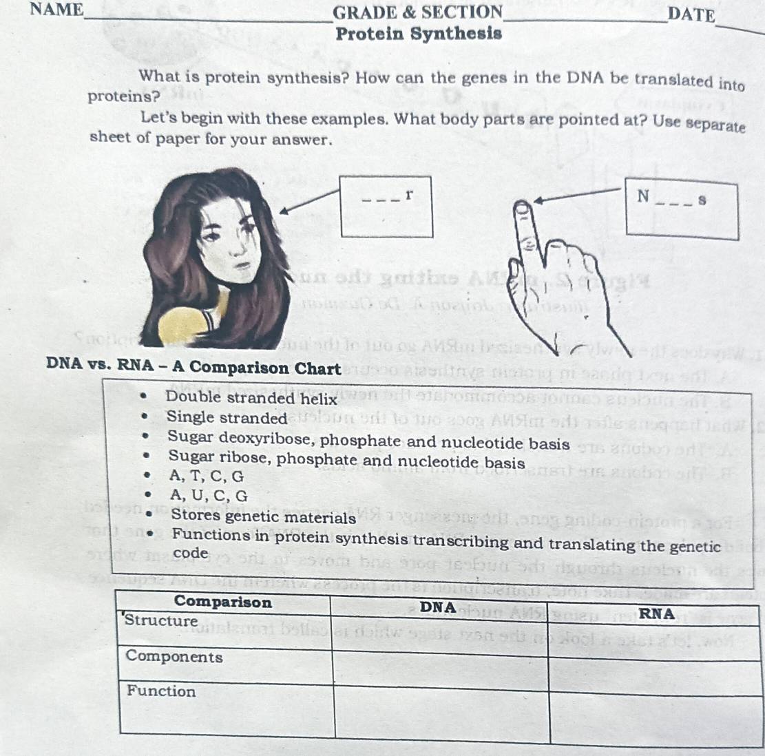 NAME_ GRADE & SECTION_ DATE
Protein Synthesis
_
What is protein synthesis? How can the genes in the DNA be translated into
proteins?
Let’s begin with these examples. What body parts are pointed at? Use separate
sheet of paper for your answer.
r
DNA vs. RNA - A Comparison Chart
Double stranded helix
Single stranded
Sugar deoxyribose, phosphate and nucleotide basis
Sugar ribose, phosphate and nucleotide basis
A, T, C, G
A, U, C, G
Stores genetic materials
Functions in protein synthesis transcribing and translating the genetic
code