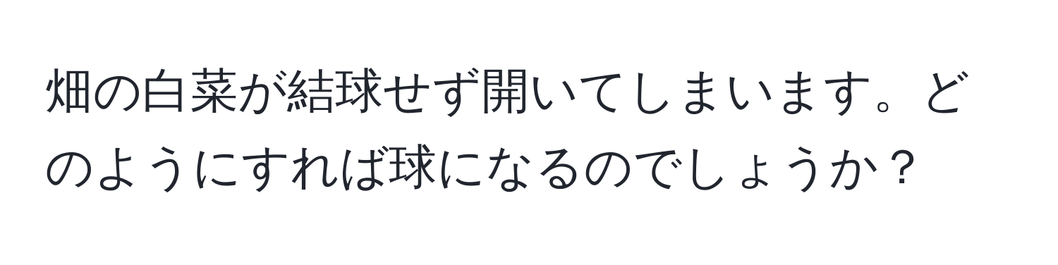 畑の白菜が結球せず開いてしまいます。どのようにすれば球になるのでしょうか？