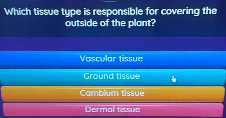 Which tissue type is responsible for covering the
outside of the plant?
Vascular tissue
Ground tissue
Cambium tissue
Dermal tissue