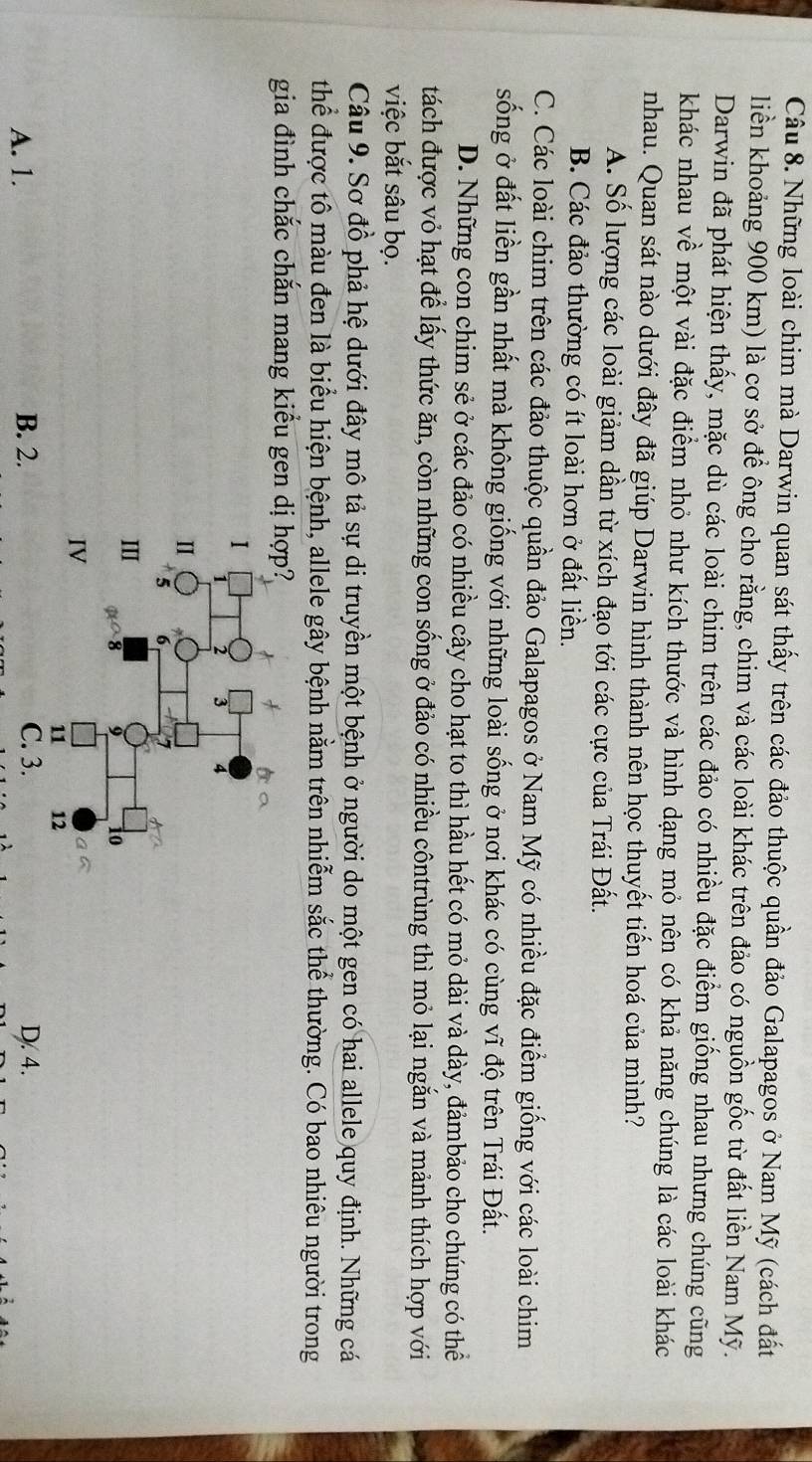 Những loài chim mà Darwin quan sát thấy trên các đảo thuộc quần đảo Galapagos ở Nam Mỹ (cách đất
liền khoảng 900 km) là cơ sở để ông cho rằng, chim và các loài khác trên đảo có nguồn gốc từ đất liền Nam Mỹ.
Darwin đã phát hiện thấy, mặc dù các loài chim trên các đảo có nhiều đặc điểm giống nhau nhưng chúng cũng
khác nhau về một vài đặc điểm nhỏ như kích thước và hình dạng mỏ nên có khả năng chúng là các loài khác
nhau. Quan sát nào dưới đây đã giúp Darwin hình thành nên học thuyết tiến hoá của mình?
A. Số lượng các loài giảm dần từ xích đạo tới các cực của Trái Đất.
B. Các đảo thường có ít loài hơn ở đất liền.
C. Các loài chim trên các đảo thuộc quần đảo Galapagos ở Nam Mỹ có nhiều đặc điểm giống với các loài chim
sống ở đất liền gần nhất mà không giống với những loài sống ở nơi khác có cùng vĩ độ trên Trái Đất.
D. Những con chim sẻ ở các đảo có nhiều cây cho hạt to thì hầu hết có mỏ dài và dày, đảmbảo cho chúng có thể
tách được vỏ hạt để lấy thức ăn, còn những con sống ở đảo có nhiều côntrùng thì mỏ lại ngắn và mảnh thích hợp với
việc bắt sâu bọ.
Câu 9. Sơ đồ phả hệ dưới đây mô tả sự di truyền một bệnh ở người do một gen có hai allele quy định. Những cá
thể được tô màu đen là biểu hiện bệnh, allele gây bệnh nằm trên nhiễm sắc thể thường. Có bao nhiêu người trong
gia đình chắc chắn mang kiểu gen dị hợp?
A. 1. B. 2.D. 4.