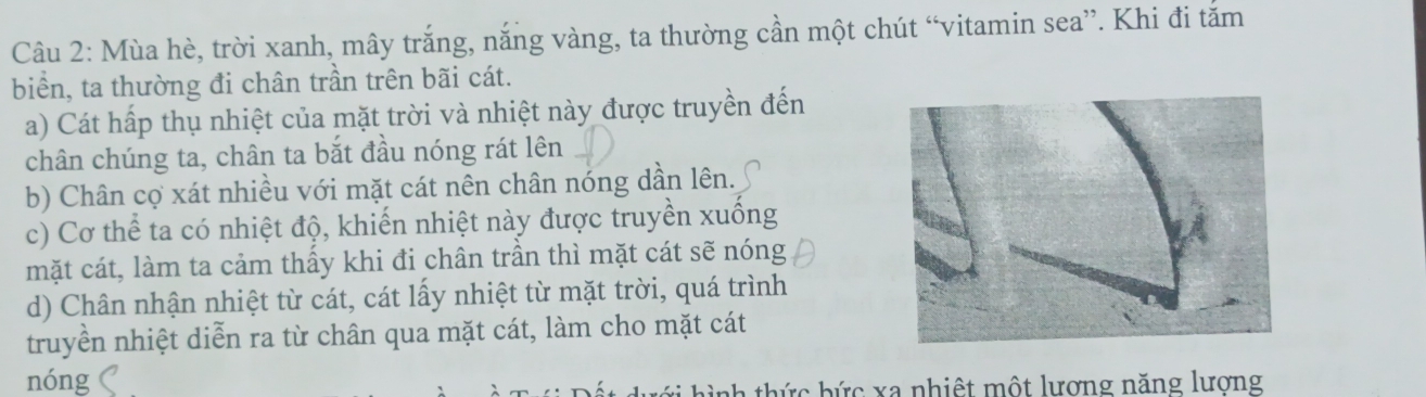 Mùa hè, trời xanh, mây trắng, nắng vàng, ta thường cần một chút “vitamin sea”. Khi đi tắm
biển, ta thường đi chân trần trên bãi cát.
a) Cát hấp thụ nhiệt của mặt trời và nhiệt này được truyền đến
chân chúng ta, chân ta bắt đầu nóng rát lên
b) Chân cợ xát nhiều với mặt cát nên chân nóng dần lên.
c) Cơ thể ta có nhiệt độ, khiến nhiệt này được truyền xuống
mặt cát, làm ta cảm thấy khi đi chân trần thì mặt cát sẽ nóng
d) Chân nhận nhiệt từ cát, cát lấy nhiệt từ mặt trời, quá trình
truyền nhiệt diễn ra từ chân qua mặt cát, làm cho mặt cát
nóng
h ì nh thức bức xa nhiệt một lượng năng lương