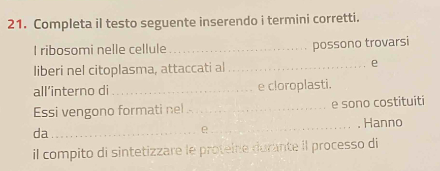 Completa il testo seguente inserendo i termini corretti. 
I ribosomi nelle cellule_ 
possono trovarsi 
liberi nel citoplasma, attaccati al_ 
e 
all’interno di _e cloroplasti. 
Essi vengono formati nel ._ e sono costituiti 
da __Hanno 
e 
il compito di sintetizzare le proteine durante il processo di