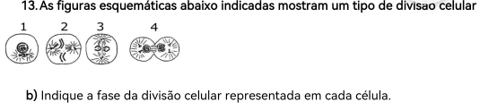 As figuras esquemáticas abaixo indicadas mostram um tipo de divisao celular 
b) Indique a fase da divisão celular representada em cada célula.