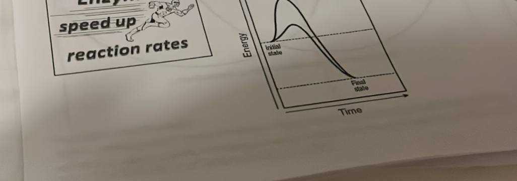 speed up 
reaction rates