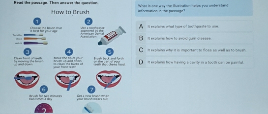 Read the passage. Then answer the question. What is one way the illustration helps you understand
information in the passage?
A
It explains what type of toothpaste to use.
It explains how to avoid gum disease.
It explains why it is important to floss as well as to brush.
It explains how having a cavity in a tooth can be painful.