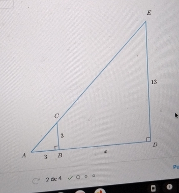 Pu
2 de 4