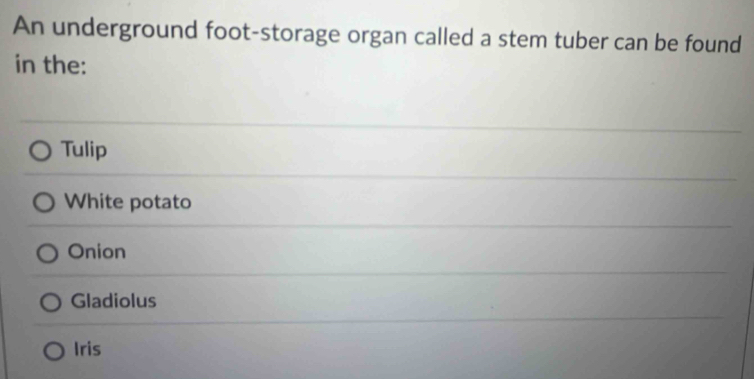 An underground foot-storage organ called a stem tuber can be found
in the:
Tulip
White potato
Onion
Gladiolus
Iris